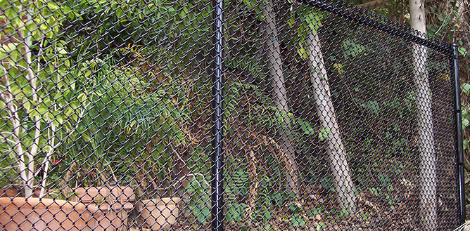 Fence Repair Los Angeles